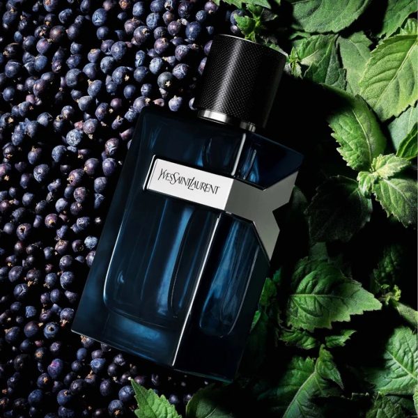 YSL Yves Saint Laurent Y EDP Intense for Men - Image 2